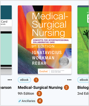 Book elements screenshot